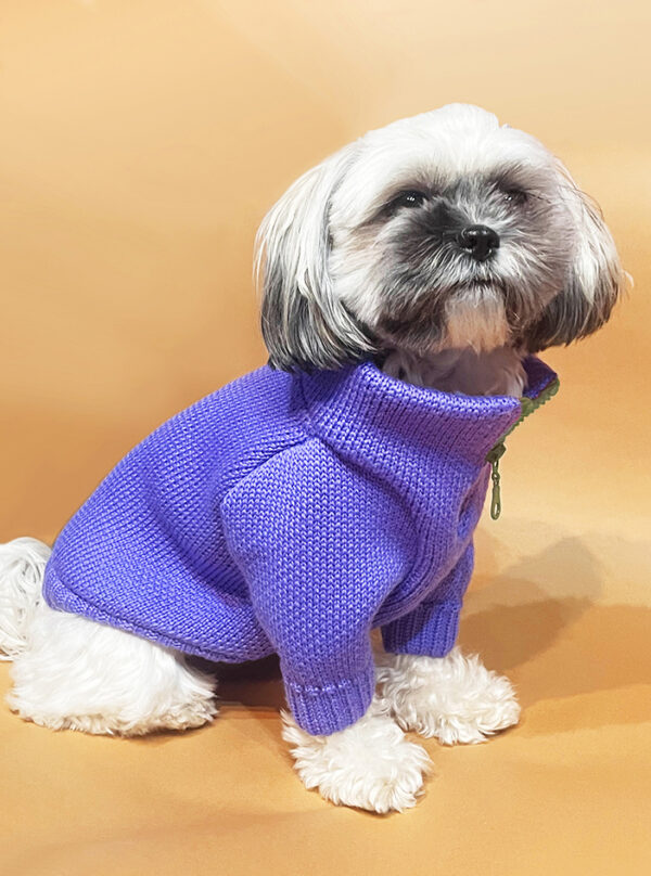 VIOLET