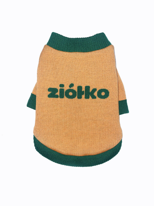 ZIÓŁKO